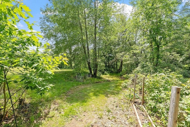 436 Maple St, Winchendon, MA 01475 - view of yard