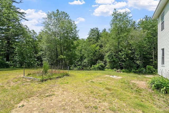 436 Maple St, Winchendon, MA 01475 - view of green lawn featuring a vegetable garden