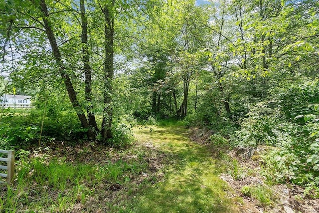 436 Maple St, Winchendon, MA 01475 - view of local wilderness