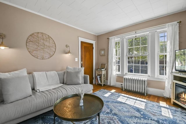 living room with wood finished floors, a glass covered fireplace, ornamental molding, and radiator heating unit