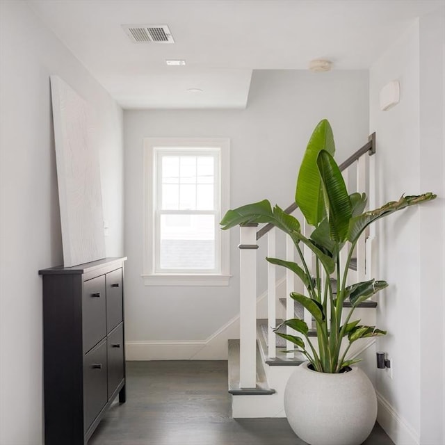 interior space featuring dark hardwood / wood-style floors