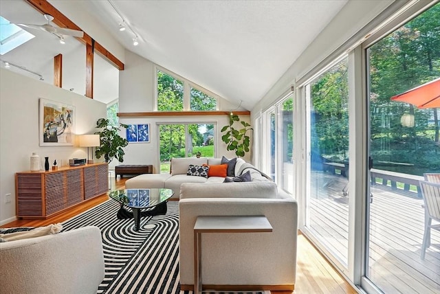 13 Robinwood Rd, Acton, MA 01720 - living area featuring track lighting, wood finished floors, and high vaulted ceiling