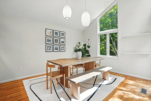 13 Robinwood Rd, Acton, MA 01720 - dining space featuring healthy amount of natural light, light wood-style floors, baseboards, and vaulted ceiling