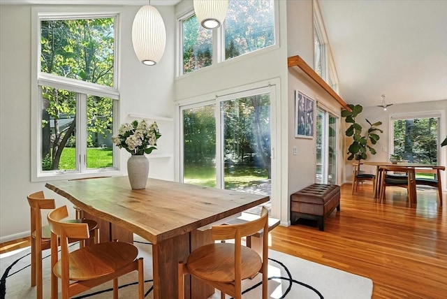 13 Robinwood Rd, Acton, MA 01720 - dining area featuring a towering ceiling, wood finished floors, and plenty of natural light