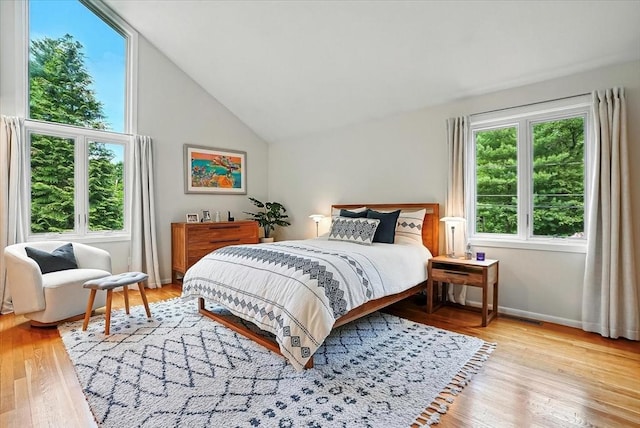13 Robinwood Rd, Acton, MA 01720 - bedroom featuring wood finished floors, lofted ceiling, and baseboards