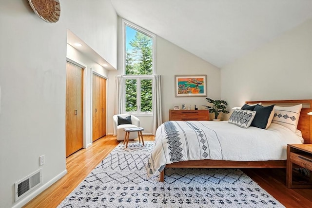 13 Robinwood Rd, Acton, MA 01720 - bedroom featuring high vaulted ceiling, multiple closets, and light wood-type flooring