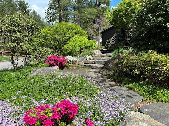 13 Robinwood Rd, Acton, MA 01720 - view of yard
