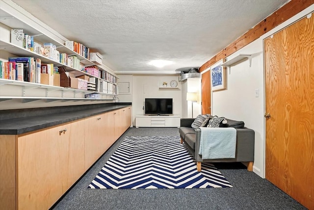 13 Robinwood Rd, Acton, MA 01720 - carpeted living room with a textured ceiling