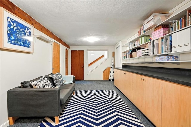 13 Robinwood Rd, Acton, MA 01720 - sitting room featuring carpet floors and a textured ceiling