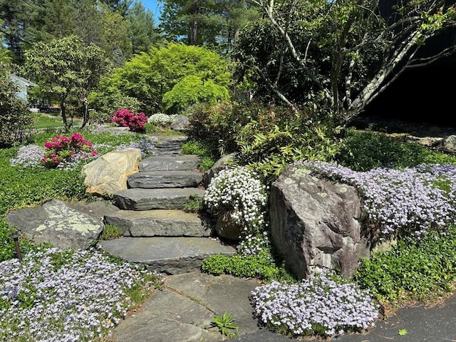 13 Robinwood Rd, Acton, MA 01720 - view of yard