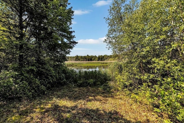 3 Five Cors, Barnstable, MA 02632 - water view with a forest