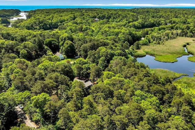 3 Five Cors, Barnstable, MA 02632 - bird's eye view of a forest and a large body of water