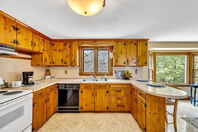 3 Five Cors, Barnstable, MA 02632 - kitchen with black dishwasher, white electric stove, a peninsula, light countertops, and brown cabinetry