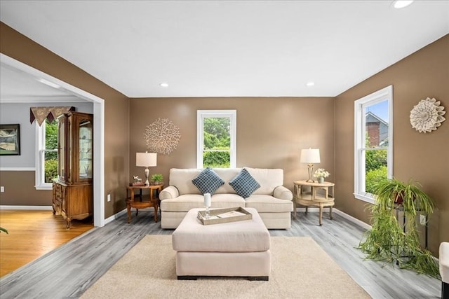 14 Vanessa Dr, Northborough, MA 01532 - living area with healthy amount of natural light, light wood-type flooring, and recessed lighting