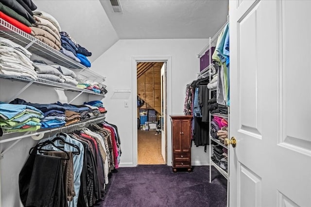 14 Vanessa Dr, Northborough, MA 01532 - walk in closet with dark carpet and vaulted ceiling