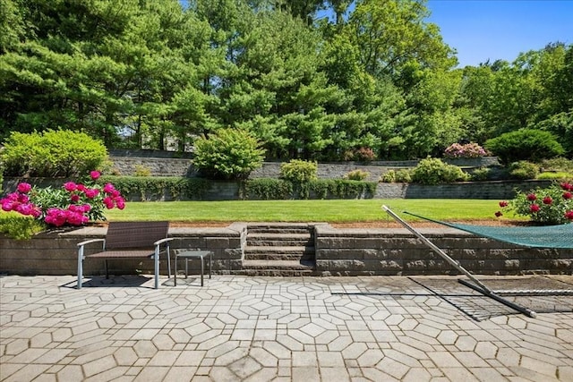 14 Vanessa Dr, Northborough, MA 01532 - view of patio / terrace