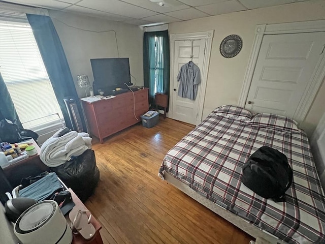 bedroom featuring a closet, a paneled ceiling, and wood finished floors