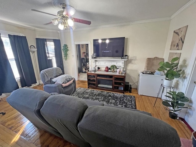 living area featuring hardwood / wood-style flooring, crown molding, and ceiling fan