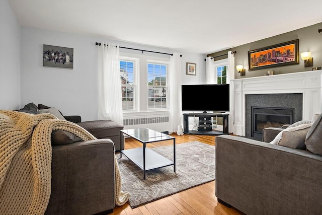 10 Carlisle Rd Unit 10, Bedford, MA 01730 - living room with radiator, light wood-type flooring, and a glass covered fireplace