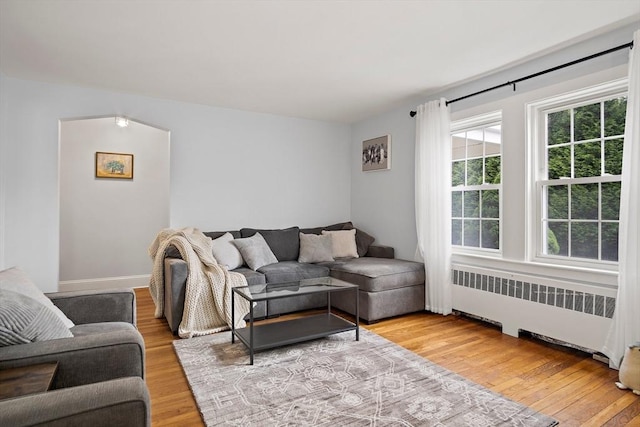 10 Carlisle Rd Unit 10, Bedford, MA 01730 - living area featuring radiator heating unit and light wood-style floors