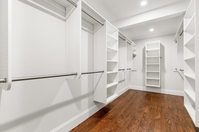 spacious closet featuring wood finished floors