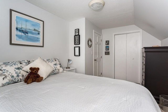 194 Crossfield Rd, Franklin, MA 02038 - bedroom with a closet and vaulted ceiling