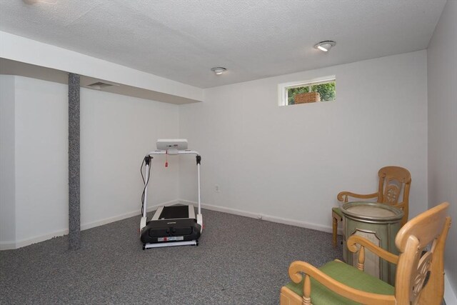 194 Crossfield Rd, Franklin, MA 02038 - workout room featuring a textured ceiling and carpet flooring
