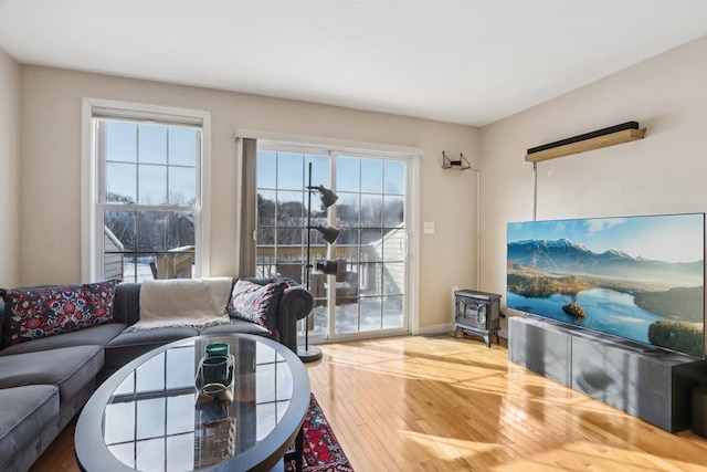 living room featuring wood-type flooring, plenty of natural light, and a wood stove