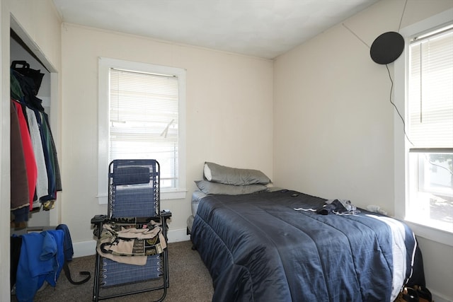 bedroom with carpet flooring