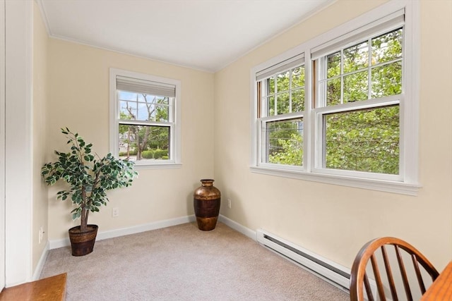 17-19 Newtonville Ave Unit 2, Newton, MA 02458 - carpeted spare room with baseboards, ornamental molding, and baseboard heating
