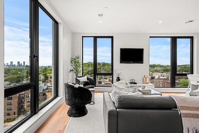 1515 Commonwealth Ave Unit 211, Boston, MA 02135 - living area featuring light wood-style flooring and a view of city