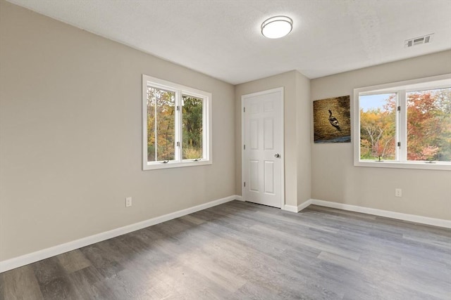 empty room with a healthy amount of sunlight and light hardwood / wood-style floors