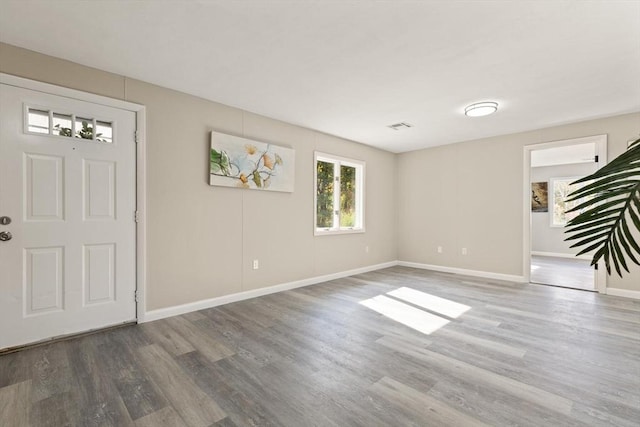 foyer with hardwood / wood-style floors