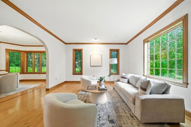 9 Buffalo Run, Southborough, MA 01772 - living area with arched walkways, wood finished floors, healthy amount of natural light, and ornamental molding