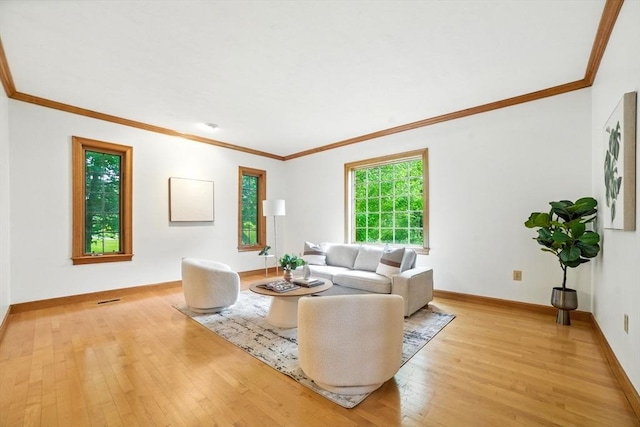 9 Buffalo Run, Southborough, MA 01772 - living room with light wood finished floors and ornamental molding