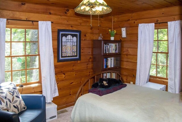 11 Nshore Rd, Chester, NH 03036
