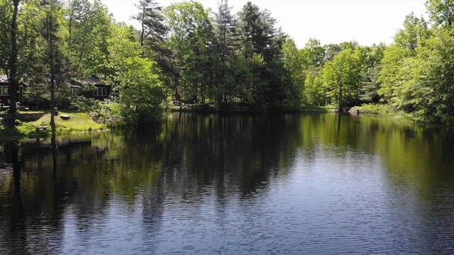 11 Nshore Rd, Chester, NH 03036