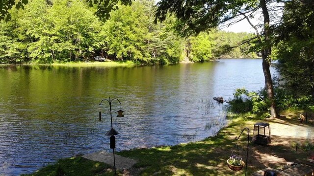 11 Nshore Rd, Chester, NH 03036