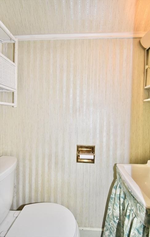 81 Osborne Ter, Springfield, MA 01104 - bathroom with toilet and wood ceiling