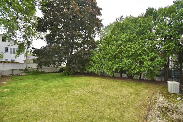 81 Osborne Ter, Springfield, MA 01104 - view of yard