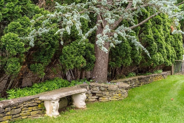 103 Randlett Park, Newton, MA 02465 - view of green lawn
