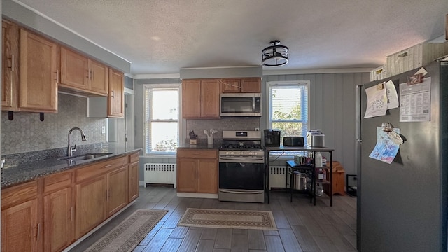 kitchen with radiator, stainless steel appliances, dark wood-type flooring, and sink