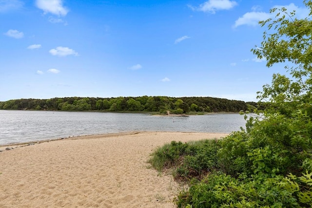 64 Bayside Dr, Falmouth, MA 02540 - water view featuring a forest