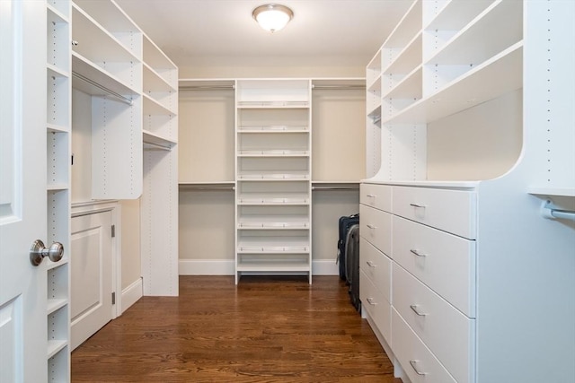 spacious closet featuring dark wood-type flooring