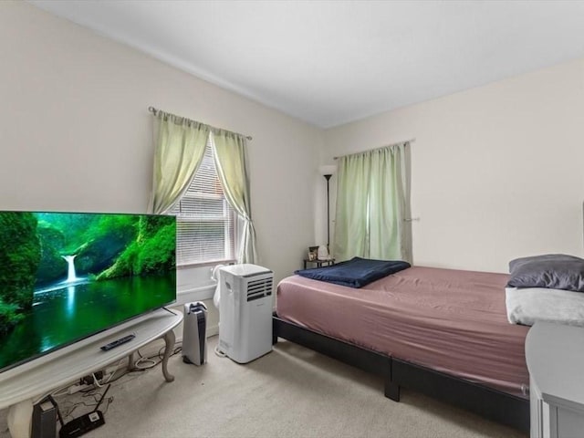 135 Border St Unit 135, Northbridge, MA 01588 - bedroom featuring carpet floors