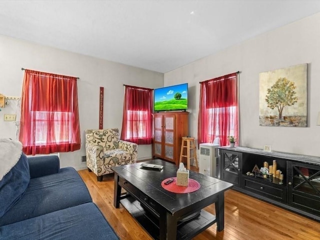 135 Border St Unit 135, Northbridge, MA 01588 - living room with wood finished floors