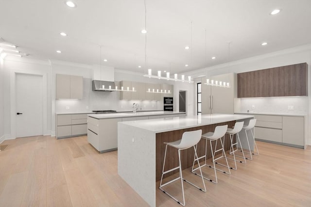 kitchen featuring light wood finished floors, tasteful backsplash, modern cabinets, a large island with sink, and a sink