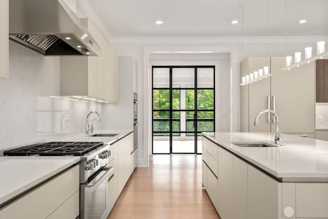 kitchen with ventilation hood, modern cabinets, a sink, and high quality appliances