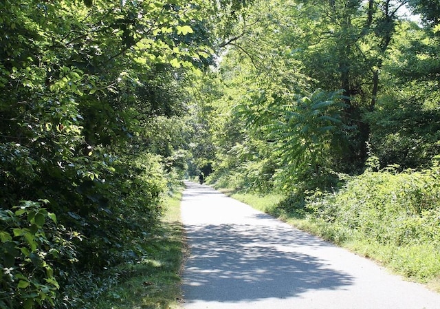 view of street with a view of trees