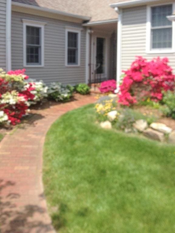 entrance to property with a lawn